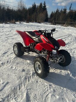 Honda TRX400EX - 8