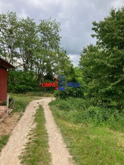 Neobrábaný vinohrad Svätý Jur, smerom na Bratislavu, lokalit - 8