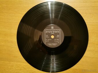 Retro darček - gramoplatne našich stálic pop music. - 8