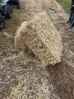 Predam seno male baliky - 8