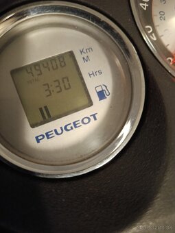 Peugeot Geo RS 250 - 8