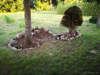 Dom s pozemkom 1570 m2, Štefanovičová, Nitra - 8