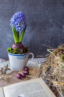 Kávová súprava Epiag - 8