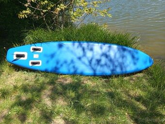 Paddleboard monkey - 8