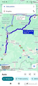 Japonské prepelice - 8