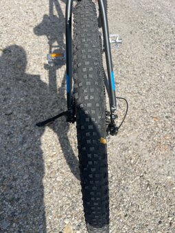 Kellys spider - 8