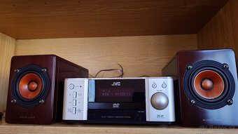 JVC EX A3 Wood cone - 8