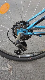 Detsky bicykel CTM Berry 2.0, 24” - 8