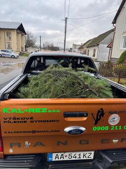 Pílenie stromov - 8