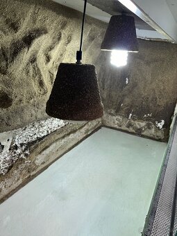 Terarium - 8