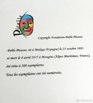 Predám krásne obrazy Monet, Picasso, Zrzavý - 8