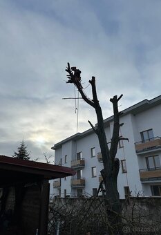 Rizikové pílenie - 8