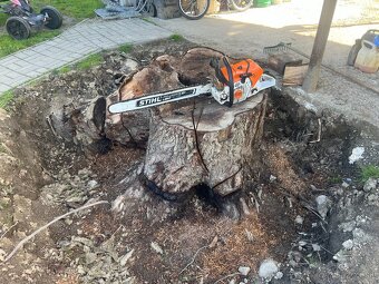 Frézovanie pňov, odstránenie pňov, fréza na pne - 8