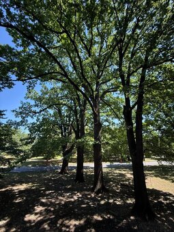 Kompletne zrekonštruovaný 1 izbový byt na predaj - 8