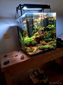 Akvárium NanoCube Dennerle 60l - 8