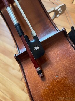 Violomcello - 8