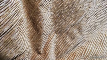 Predám poťahové látky a záclony - 8