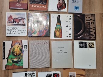 Knihy o umelcoch a umení 2/5 - 8