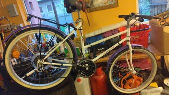 Dámsky bicykel - 8