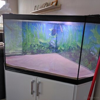 Akvario 300l - 8