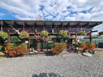 Voliery , klietky - 8