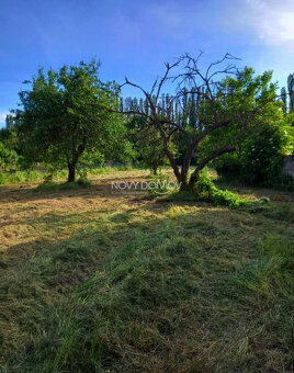 TERAZ OVEĽA VÝHODNEJŠIE RD na veľkom slnečnom pozemku - 8