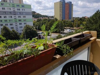 Izba pre dievča/ženu ihneď k dispozícii - 8