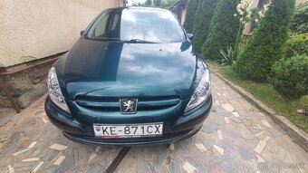 Peugeot 307 - 8