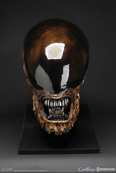 Alien head sideshow - 8