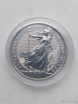 Strieborne investičné mince 1 OZ - 8