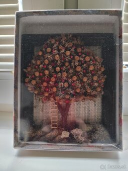 Sušené kvietky v obrazkoch - 8