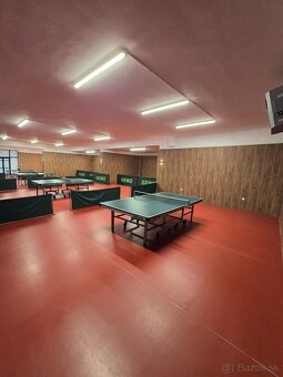 Stolný tenis - 8