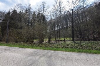 Na predaj lesný rekreačný pozemok Drietoma - Liešna, 6549m2 - 8