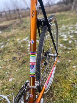 Favorit special 1964 - 8