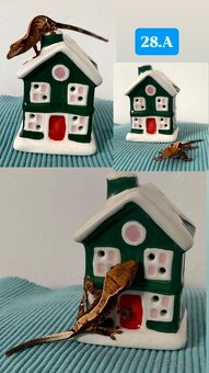 Pagekon riasnaty - 8