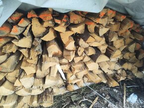Palivové drevo metrovica klatiky obrezky buk dub - 8
