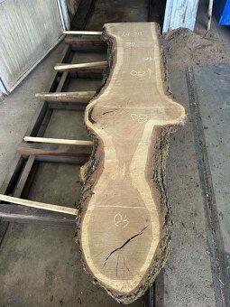 dubové fošne, dub letný, dub - 8