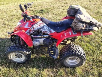 Kymco kxr250 - 8