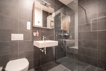 Predaj 1 izbového bytu 44 m2 , Bory Bývanie, Devínska BA - 8