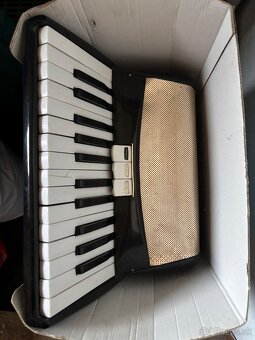Harmonika/Akordeon - 8