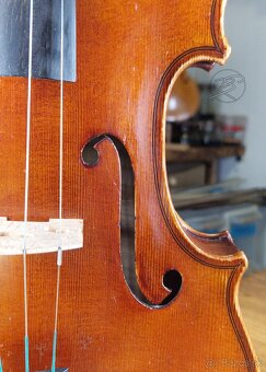 ✴️Viola 38,5 cm✴️ - 8