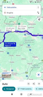 Japonské prepelice - 8