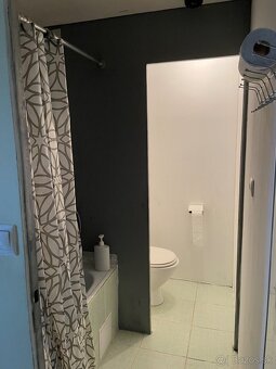 Prenajmem zariadený 1 izbový byt v centre mesta - 8