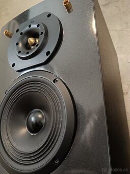 Triangle Antal XS Stereo reproductory - 8