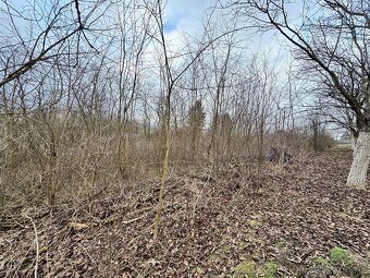 Pozemok (záhrada) na predaj - 8