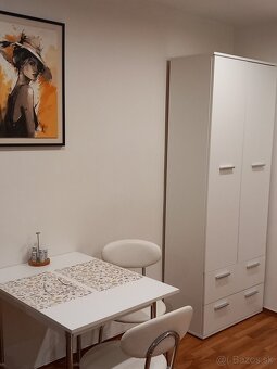 Prenájom 1 izbového bytu - 8