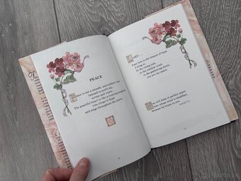 B. J. Hoff – Thorns and Thrones (Kresťanská literatúra / Ang - 8