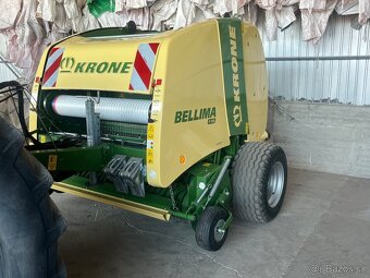 Lis Krone Belima - 8