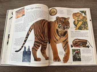 Vidieť Poznať Vedieť, Severoamerický Indiani, Macky - 8