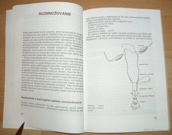 Intenzívny chov brojlerových králikov - 8